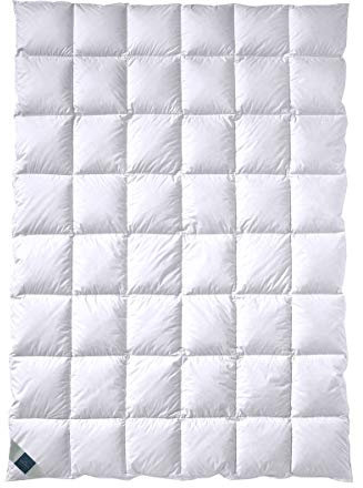Billerbeck Daunendecke Basilia 513 Mono medium, Füllung: 80% Daunen, 20% Federn