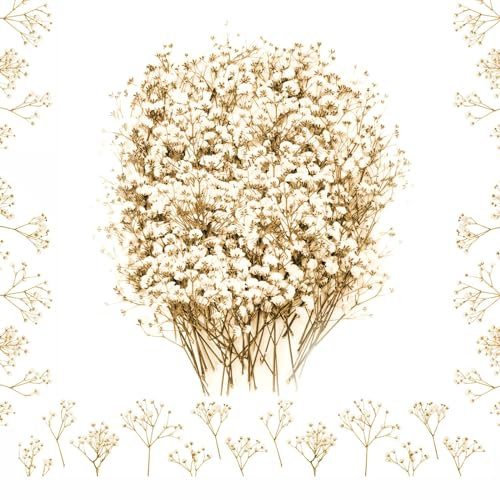 100PCS Dried Pressed Flowers, Natural Dried Gypsophila Mini Breath Flowers for Diy Crafts, Candle Resin Jewelry, Nail Art, Floral Decorations (Beige)