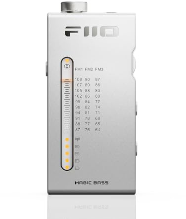 FiiO RR11 bärbar stereoradiomottagare (silver)