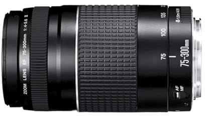 Compatible con Canon EF 100D 200D 750D 760D 77D 1200D 1300D 1500D 800D. Objetivo Zoom telefoto 75-300 mm f/4-5.6 III for cámaras réflex.(No Package)