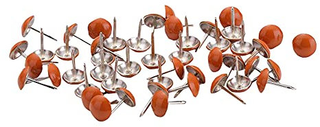 Reißzwecken für Pinnwand, Reißzwecken für Wand, Korktafel, Stahlspitze für Zuhause, Büro, Bastelprojekte, dekorative Reißnägel, Orange, 100 Stück