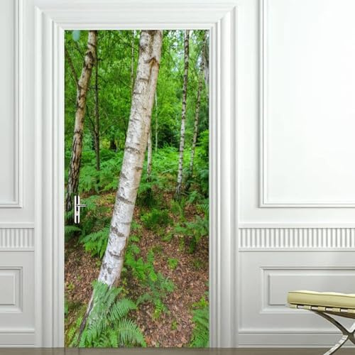 TACOKI Türtapete Selbstklebend Türposter Natürliche Landschaft Türbekleben Birke Türbilder, 3D Effekt Fototapete Türfolie Poster Türaufkleber Wandtattoo Tür Dekoration Stickers 88x200 cm 4729z