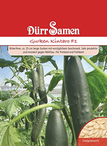 Gurken (Gurken Kintaro)