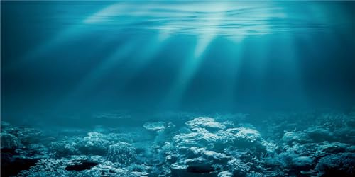 MIRRORANG 180x61cm Unterwasser-Thema Aquarium Hintergrund Sonnenschein Unterwasserwelt Aquarium Poster Hintergrund Vinyl Hintergrund