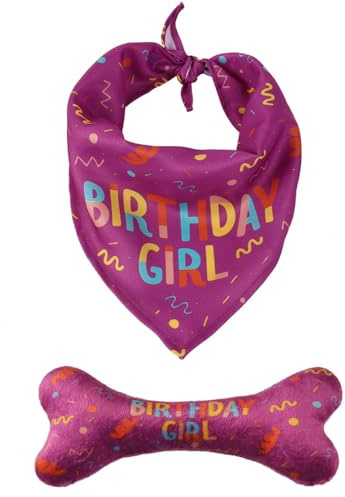 Hundehalstuch, Geburtstagstuch, Dreieckstuch, Halstücher für kleine, mittelgroße Hunde, Haustiere, Geburtstagsparty-Zubehör, 2 Sets, Rosa