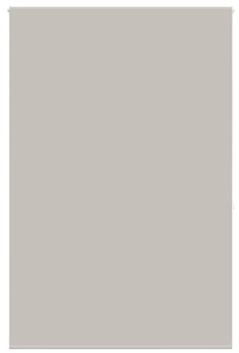 vidaXL Estor Enrollable para Ducha Tela 160x240 cm Ancho 156 cm, persiana para Ducha, Cortina Enrollable para Ducha, persiana Enrollable para Ducha
