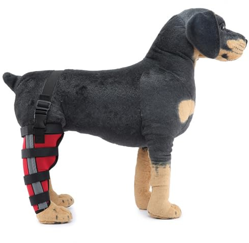 Beinstütze für Hunde, Kreuzbandage für Hunde bei Gerissenen Vorder- und Hinterbeinen, Sprunggelenkbandage für Hunde, Karpaltunnelsyndrom-Stütze mit Seitlichen Stabilisatoren