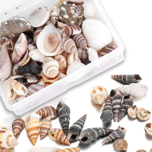 Hapivida Gemischte Muscheln, Kleine Muscheln Natürliche Gemischte Meeresstrand Spiralmuscheln für Die Kerzenherstellung, Heimdekoration, Hochzeitsdekoration, DIY Handwerk, Aquarium und Vasenfüller