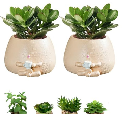 2Pcs Cute Planter Töpfe mit Drainage-Loch, kleine Harz Sukkulenten Blumentöpfe Indoor Outdoor, dekorative Heilung Kaktus Töpfe, Schreibtisch Pflanze Stand Geschenk für Haus Garten Büro (Stil2)