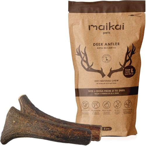 MAIKAI Packung 2 Hirschgeweih für Hunde Größe L – Natürlicher Kauknochen + Widerstandsfähig – Ideal für Mittlere Hunderassen bis 30 kg – Langlebiges Hundespielzeug | Beißring, Alternative Knochen, robust, für Zahngesundheit, natürliches Spielzeug, Geschenk für Haustiere