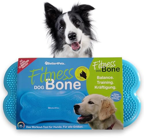 Wolfpack® Fitness Dog Bone – Balance Pad & Physio Wackelkissen für kleine & große Hunde – krallenfestes Trainingsgerät & Balancekissen | Better4Pets-Edition (Blue)