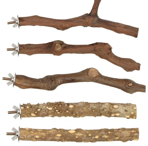 Natural Wood Parrot Stand Set, 5 pcs Bird Perch Branch, Parakeet Climbing Standing Branches Toy Chewable Cage Accessories for Small Budgies Cockatiels Lovebirds