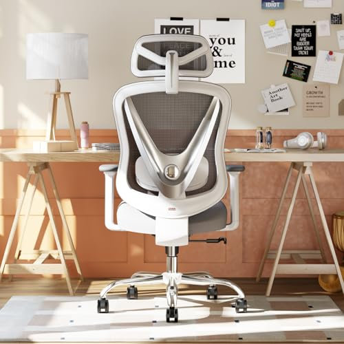 HOLLUDLE Silla de Oficina ergonómica con Soporte Lumbar 3D y reposabrazos 3D Ajustables – Diseño en Forma de V, Silla de Escritorio cómoda para Oficina y hogar, Blanca