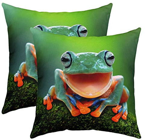 Pack of 2 Frog Decorative Throw Pillow Covers Soft Kawaii Decor Square Cushion Case Set for Sofa Bedroom Living Room Tropical Amphibian Animal Print Green Pillow Cases Pillowcases 20x20 Inch