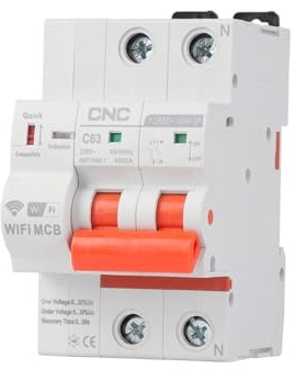 SkyjOy Salvavita Riarmo Automatico Interruttore Automatico 2P con Timer, Interruttore Intelligente remoto, relè di sovraccarico, cortocircuito e Tensione(25A)