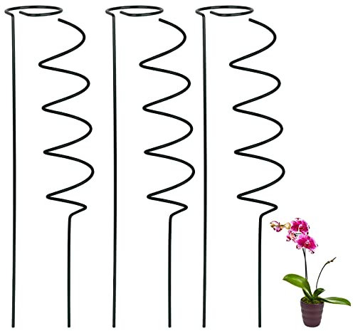 Flueyer Pflanzenstützen-Set, 3 Stück Einzelstiel-Blumenstecker und 3 Stück Spiral-Pflanzenunterstützung Rankhilfe Tomatenstecker für Tomaten, Orchidee, Lilie, Pfingstrose, Rose, Blumenstiel
