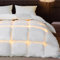 Bedsure Couette en Duvet - 220 x 240 cm - Couette d'hiver Chaude en 90% Duvet / 10% Plumes - 2320 g - Rembourrage épais, Extra Chaud avec Certificat Öko-Tex - Lavable - Blanc