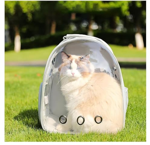 Raumkapsel Katzenrucksack Transportbox für Katzen Hunde: Tragbarer Atmungsaktiver Haustier Transporttasche mit Blasefenster für Reisen Outdoor Wandern (Gray (transparent))