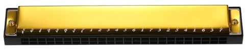 Mundharmonika Professionelle Harfe Armonica Tonart C 24 Loch Polyphonie Diatonische Mundharmonika mit Etui für Musik(Gold)