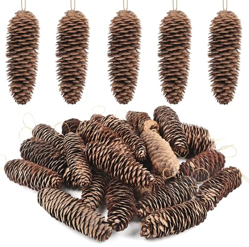 TaoQ C 24 Pieza Decoraciones de Conos de Pino Grandes, Conos de Pino Naturales Conos de Pino de Navidad con Cuerda para árbol de Navidad Artesanías Regalos otoño Navidad Decoración del hogar