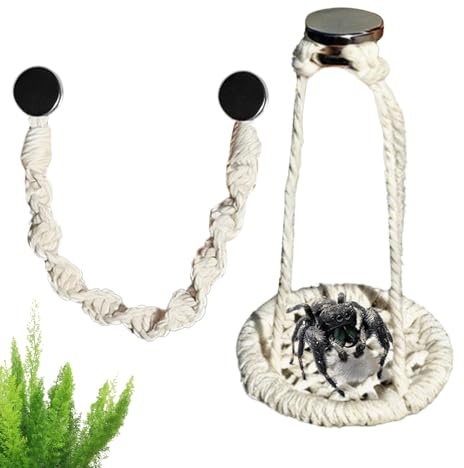 Repbroar För Hoppspindlar - 2 Stycken Naturliga Hängmattor Av Bomullssnöre - Tillbehör För Hoppspindelterrarium, Promenad Utomhus Transport Dagliga Utflykter Shopping StadsPark