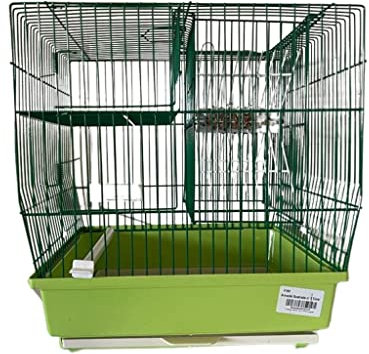 CORAÇAO LUSITANO Gabbia Trappola Roulette