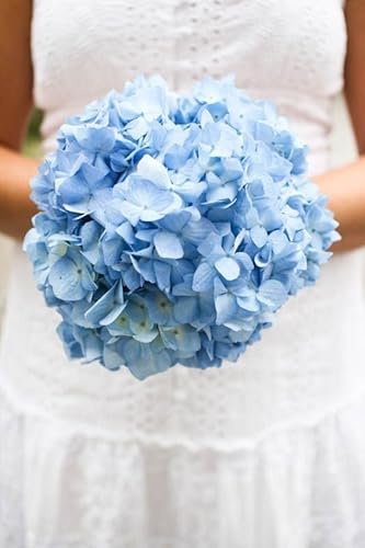 DECOALIVE - Ramo de Hortensia - Set 10 Flores Azules - Bouquet de Flores Naturales