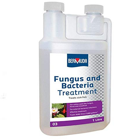 Bermuda Fungus and Bacteria Treatment 1000ml