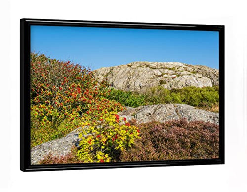 artboxONE Poster mit schwarzem Rahmen 18x13 cm Natur Heidekraut und Vogelbeeren - Bild schweden Busch felsen