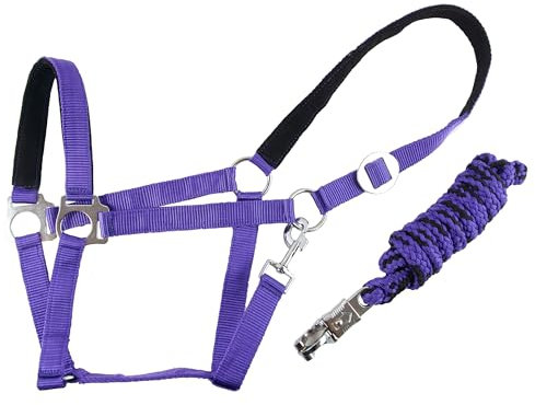 Brama West Halfter Set Pferd Lilo - Halfter & Strick - weich unterlegt - Lila, Gr. XFull