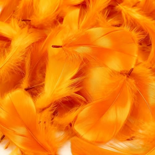 Mbsomnus 600 Pezzi Piume Arancione 5-12 cm Piume Decorative per Lavoretti DIY Artigianato Costumi Cappelli Orecchini Sogni Catturati Festival Matrimonio Compleanno Decorazioni