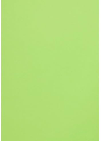 Netuno 20 Blatt Fotokarton Grün DIN A4 21 x 29,7 cm 300g Malmero Bambou farbiger Bastelkarton A4 Farbkarton bunt für Menü-Karten Einladungen Kreativkarton dickes Bastelpapier Naturkarton