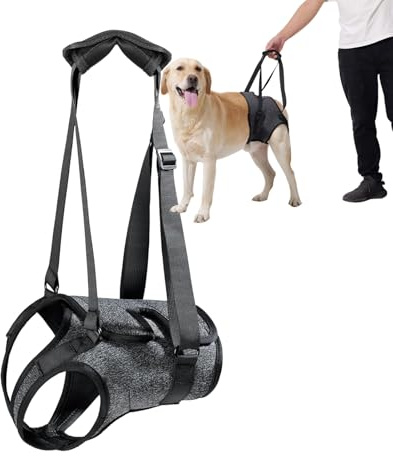 Dog Halter Harnesses, Adjustable Lift Hanress For Large Dogs, Dog Sling For Medium Dogs Hind Leg Support To Help Rehabilitate, Soft Padded Dog Support Harness For Elderly, Injured, Arthritic(X-Large)