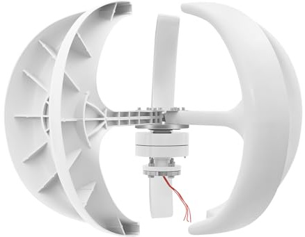 Windkraftanlage, 600W Windturbine Haushalt Laterne Generator, Windgenerator 5 Blätter Kit mit Controller 12V/24V