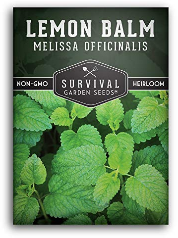 Lemon Balm Seeds for Planting - Melissa Officinalis Herb for Tea and Pollinator Gardens - Soothing Aromatic Perennial Grown Indoors or Outdoors - Heirloom, Non-GMO - Survival Garden Seeds (1 Pack)