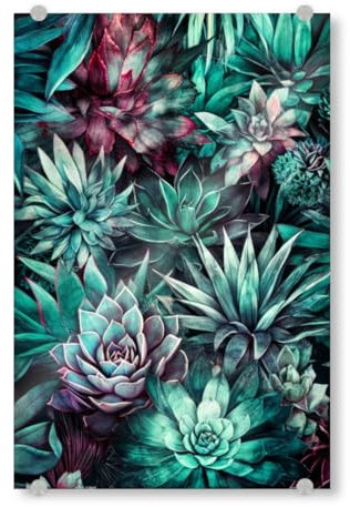 artboxONE Acrylglasbild 60x40 cm Natur Sukkulenten und Kakteen I - Bild sukkulenten Blumen Blumen