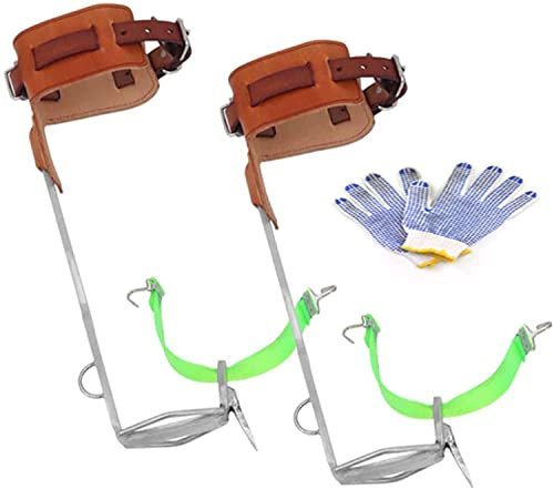 Baumkletter-Spike-Set, Sporen-Werkzeug, Baumkletter-Steigeisen-Ausrüstung, auf einem Baum kletternde Schuhe leicht, Baumkletter-Stufen-Ausrüstung, Obstpfotenpflücken, A