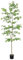 Bellacat Árbol de olivo negro sintético de 7 pies de alto, árboles sintéticos para interiores con tronco natural y hojas realistas. Árbol artificial de 7 pies (84 pulgadas) para decoración de oficina