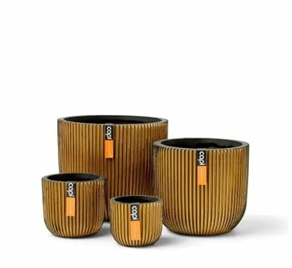 Capi Europe - Mix Box Blumentopf Kugel Groove Gold - Gold - Blumentöpfe für den Innenbereich - Geschenkset