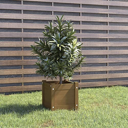 WIFESE Jardinièrs Surélevés Marron Miel 31x31x31 cm Bois de Pin Massif Pot de Fleurs Suffisamment d'espace Plantes Herbes Légumes Lit Surélevé de Jardin Décorer Balcon Patio Terrasse