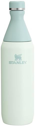 Stanley All Day Slim Bottle 20 oz | Twist On Lid with Leakproof Seal | Slim Design for Travel & Gym | Insulated Stainless Steel | BPA-Free | Mist