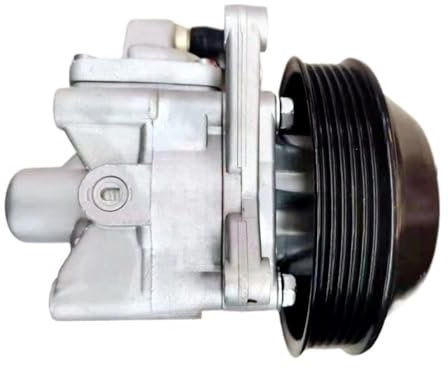 Hydraulikpumpe Servolenkungspumpe, Kompatibel mit Benz C32 Amg W203 A1124660101 A1124660101
