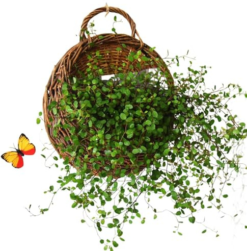 Cesto di fiori da appendere al muro, cesto da appendere in viminis fatto a mano, tessitura di cesti di fiori montati a parete, vaso di fioris in rattan naturale, per la decorazione domestica, giardino