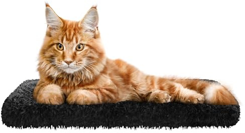Katzen Fensterliege Fensterbank rutschfest - Katzenbett Fensterbank 60x20 cm - Weich & Kuschelig - Fensterliege für Katzen Selbstheizende Katzendecke - Waschbarer Bezug (Schwarz)