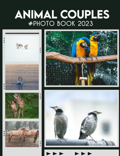 Animal Couples Photography Book: An 2024 Animals Photography Book Amazing Colorful Images For All Ages With 30+ Pictures Inside Photobook To Relieve Stress And Get Creative