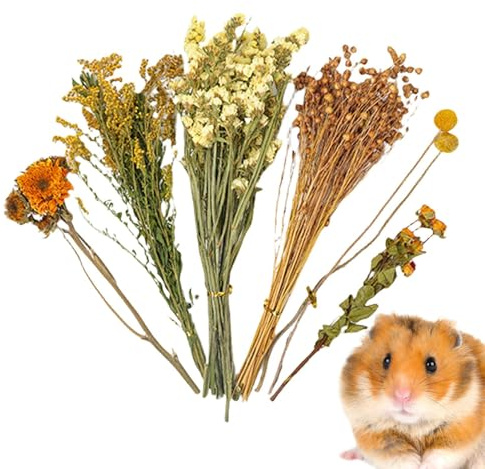 Shenrongtong Flor de Espiga Natural, lecho de Flores secas para hámster, decoración para el hábitat de Ratones, Set de Aerosoles Decorativos para hámsteres, jerbos, degús y Animales pequeños