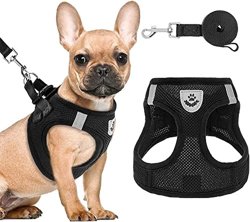 Hundegeschirr mit Leine Anti Zug Geschirr Reflektierend Brustgeschirr für Kleine Hunde, Haustiere, Welpen, Katzen