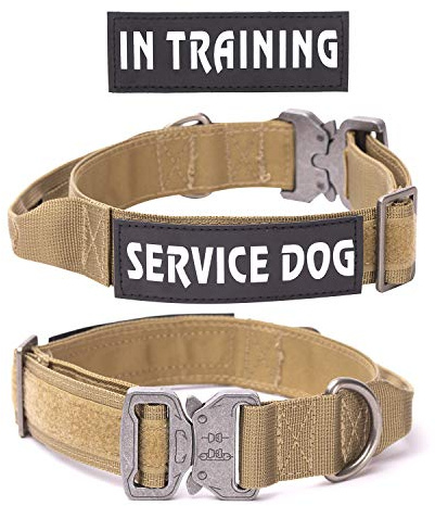 Hundehalsband Verstellbar mit Kontrollgriff, Taktisch Halsband Nylon, Hunde Halsband Gepolstert, Metallschnalle, für Mittlere Große Hunde Jagd Training Outdoor, M