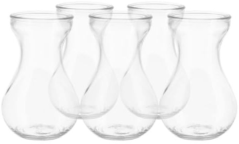 Vase en Verre Simple pour Jacinthes 5 Pièces à Fond Plat
