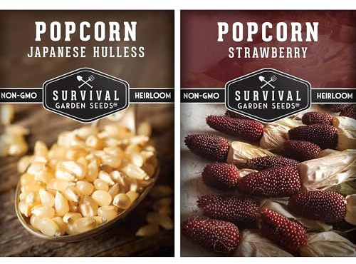 Popcorn Seeds 2 Variety Collection for Planting – Japanese Hulless & Strawberry Popcorn Corn – Heirloom Non GMO Popping Corn Types – Survival Garden Seeds